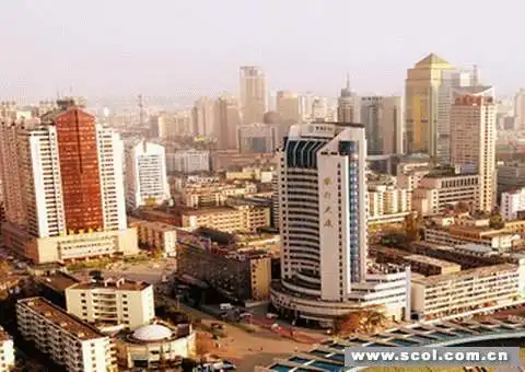 三"心"起搏 2004看成都猴年大变脸(图)