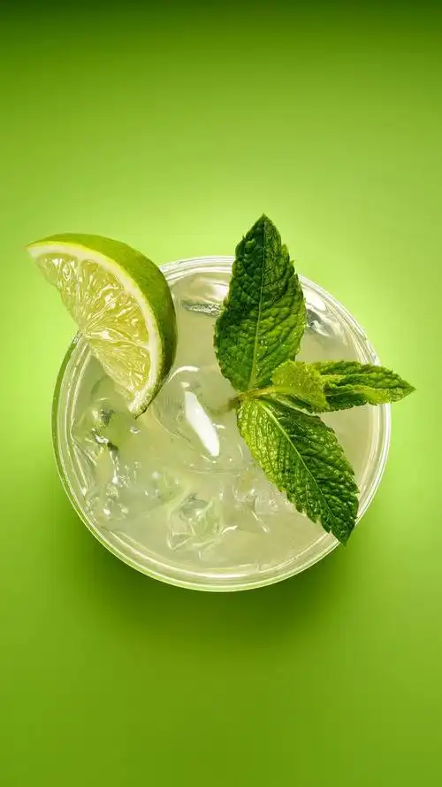 薄荷-堆糖,美好生活研究所