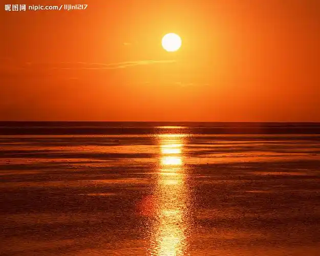 市老科技工作者协会用四不精神重染夕阳红