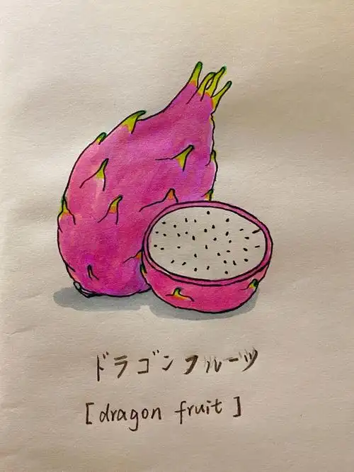 水果简笔画火龙果