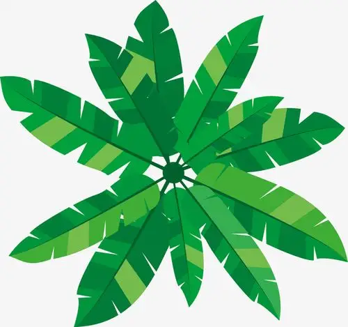水彩绿色椰树叶子免抠图免抠素材免费下载_觅元素51yuansu.com