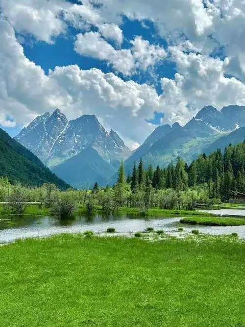 690_920竖版 竖屏