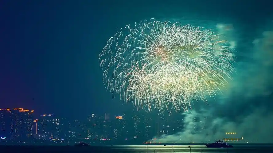 2020年跨年只想和你分享这灿烂的烟花,高清壁纸,风景图片-回车桌面