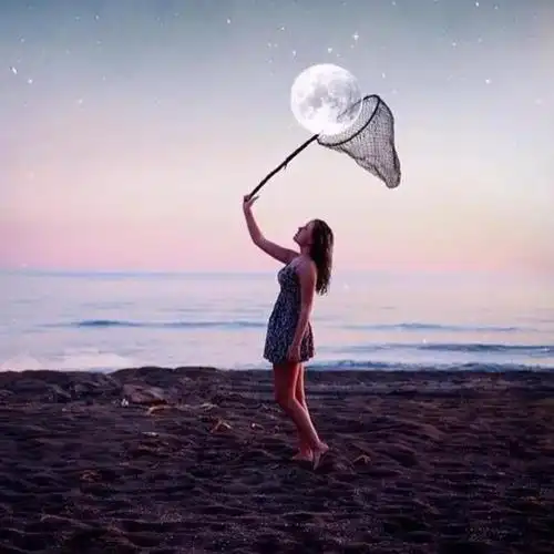 最有意思的图片24张有意思的照片