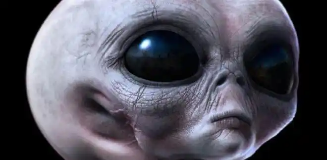 有图有真相身长三厘米的外星人在阻止nasa火星车