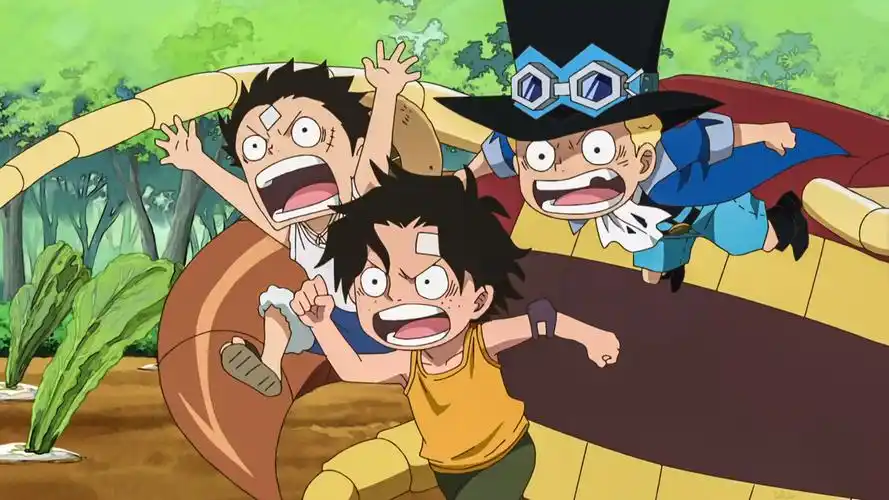 三兄弟海贼王搬运来源于微博可爱的外表