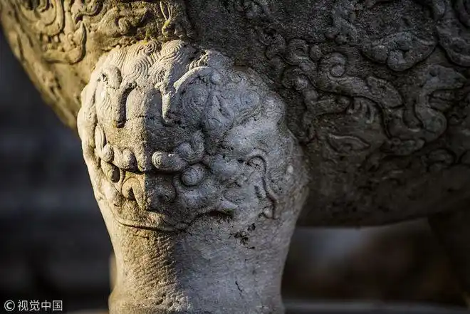 圆明园古石雕在北大闲晒太阳憨态可掬