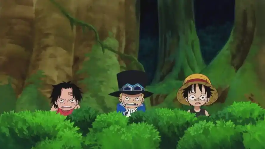 海贼王 兄弟仨~ - 堆糖,美图壁纸兴趣社区