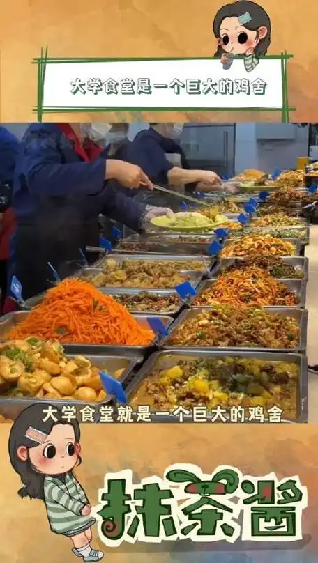 大学食堂就是鸡如履薄冰的一生