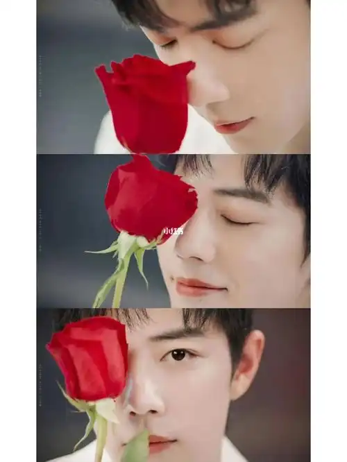 肖战比花还好看