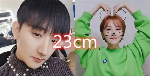 明星情侣的身高有多大鹿晗关晓彤5cm而他们足足差23cm
