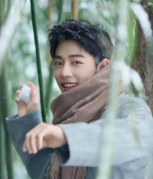 肖战冬至竹林大片