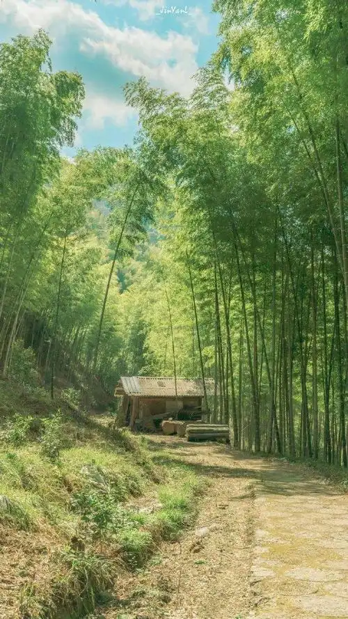 听, 龙栖山自然保护区中