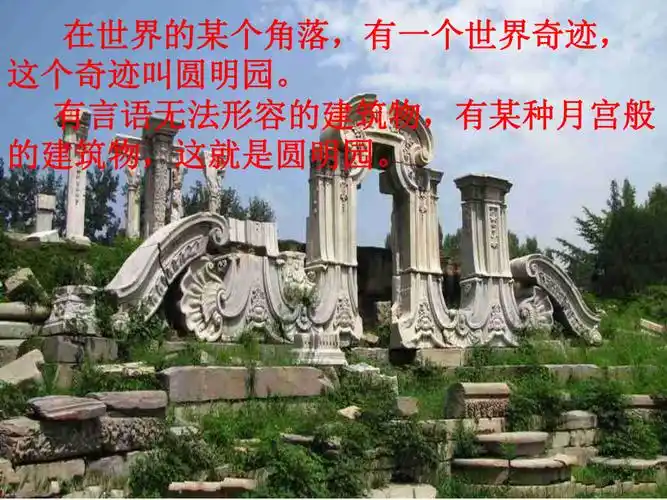 圆明园的毁灭 (11)