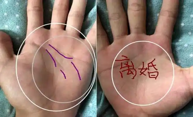 5种聚财的女人手相,有其中一个晚年必定不缺钱