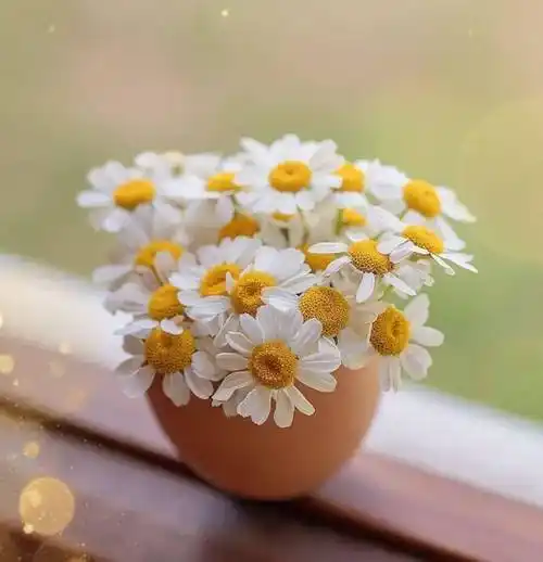 长期不换微信头像的人往往是以下几种心态