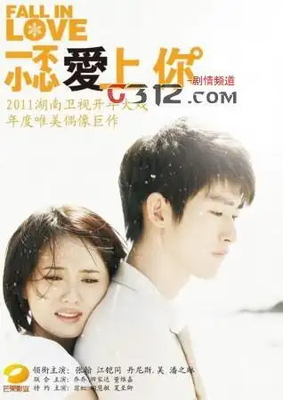 电视剧一不小心爱上你剧情介绍 一不小心爱上你演员表介绍