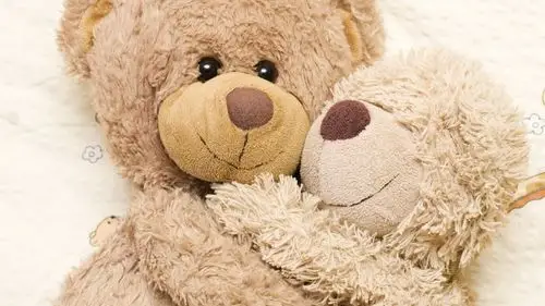 毛茸茸的泰迪熊,拥抱 iphone 壁纸