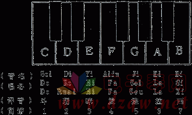 音符-基本乐理(五),电子琴,电子琴入门,电子琴入门教程,电子琴简谱