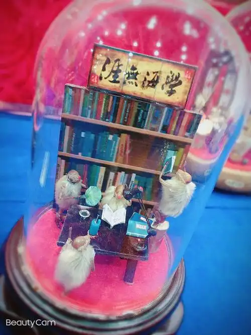 非遗之毛猴你知道吗