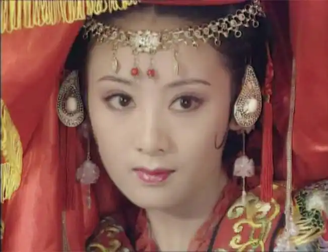 《上错花轿嫁对郎》之杜冰雁