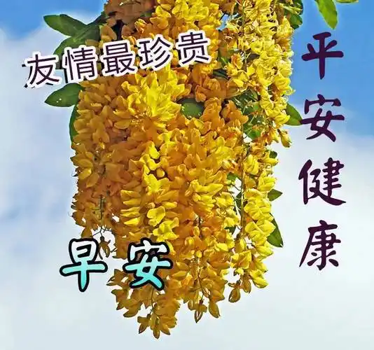 8张最新创意好看的早安早上好图片带祝福语 不用打字聊天的早上好问候