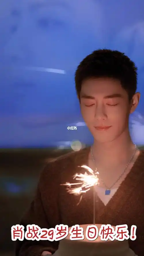 肖战29岁生日快乐