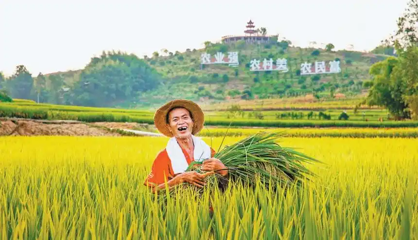 8月,梁平区安胜镇龙印村,一派丰收景象.曾卫民 摄