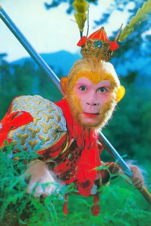 首页全新改版升级啦