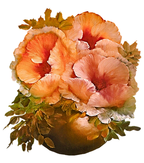 ps免抠素材史上最全的花类png透明素材293pps吧百度贴吧