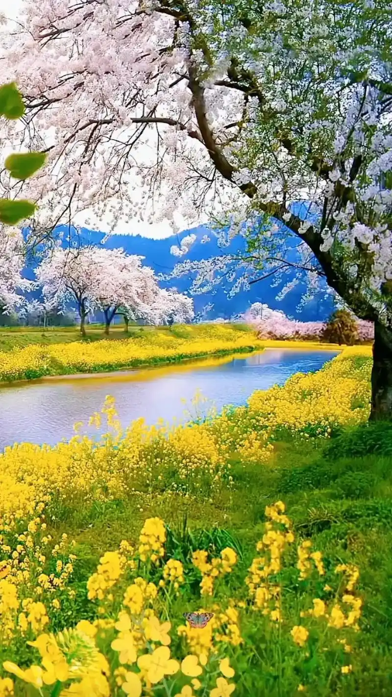 春暖花开,奔你而来#鸟语花香#春天的色彩 #抖音图文 #壁纸 - 抖音