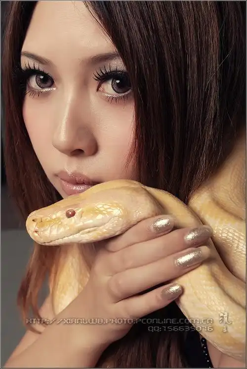 美女蛇