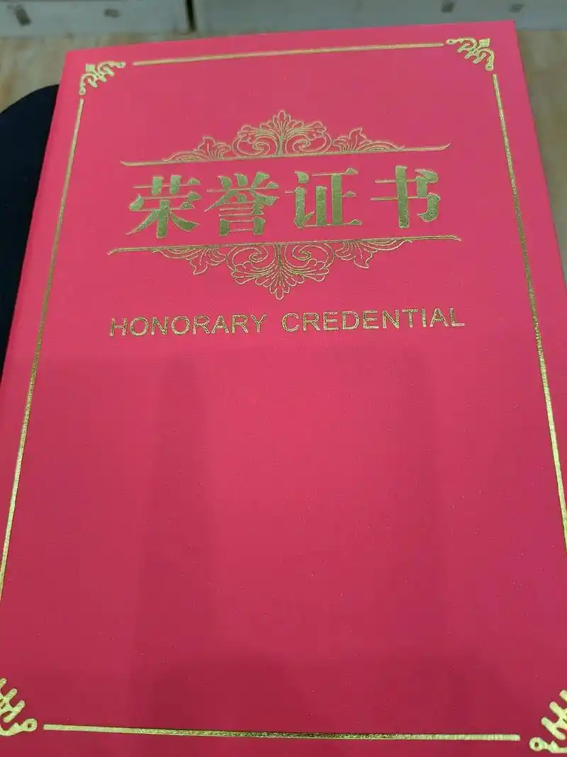 童年叮叮当荣获一6潘翊可同学二四年月宜宾学院文学员音乐艺术学部特