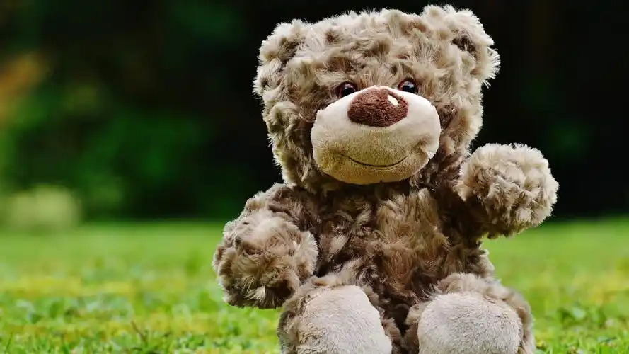 会说话的玩具熊