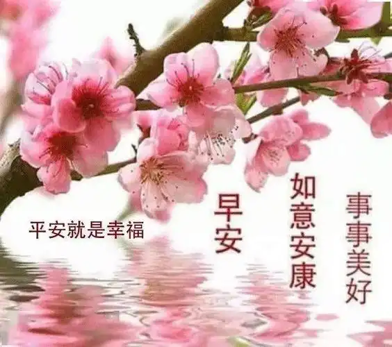 2020新版早上好吉祥短信大全微信早安图片动态早安表情包