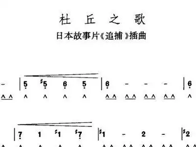 杜丘之歌 歌谱 简谱