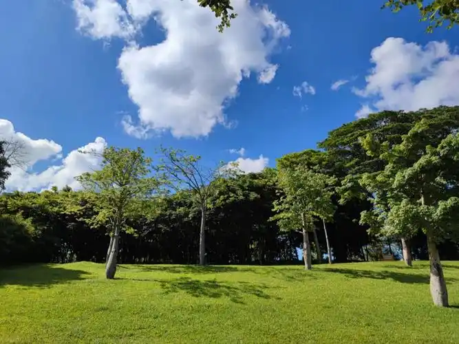 蓝天白云晴空万里