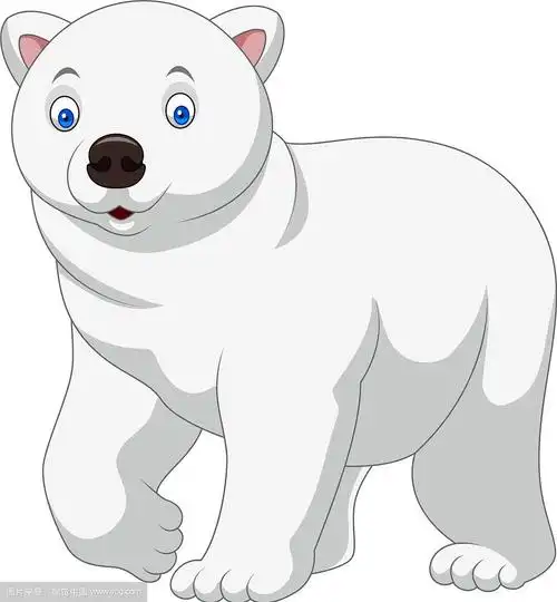卡通北极熊孤立在白色的背景