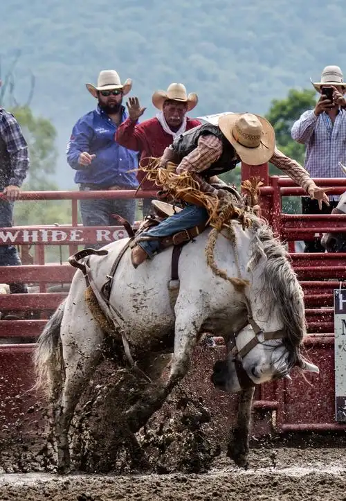 美国牛仔竞技比赛(rodeo)