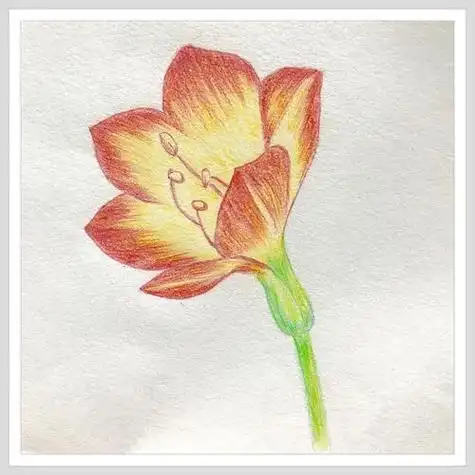 彩色铅笔画彩色铅笔画教程