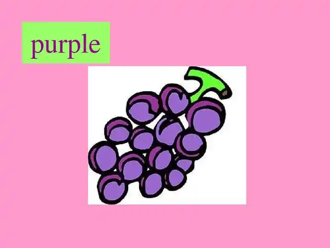 ppt purple 第9页 (共28页,当前第9页) 你可能喜欢 常用英语单词图片