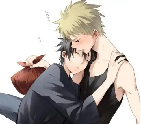 关于竹子和阿盔搅基的研究报告