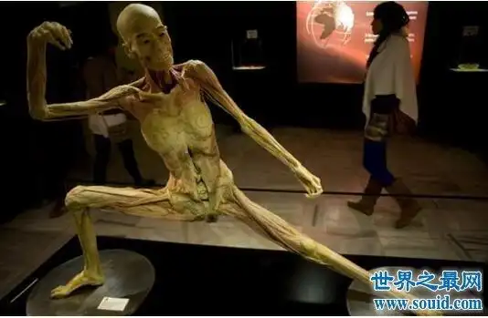 人体标本的制作方式在最早期是通过福尔马林(化学用品)浸泡之后,使