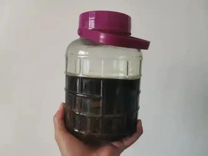 钓鱼六君子药酒很多人都泡烂了选材和制作也是重中之重