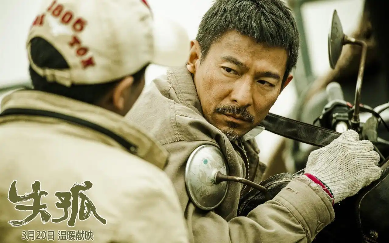 电影《失孤》,剧照图片,高清壁纸,中国影视-回车桌面