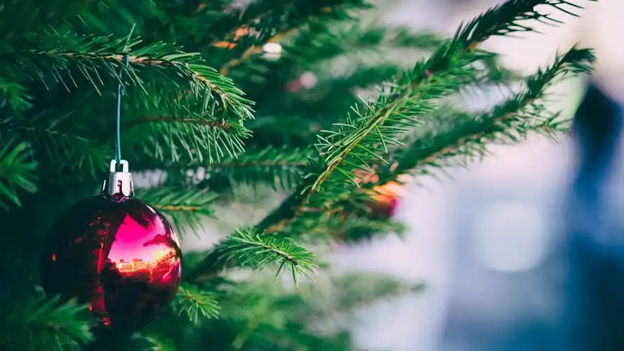 壁纸 一个红色的圣诞球,冷杉树枝,针 3840x2160 uhd 4k 高清壁纸