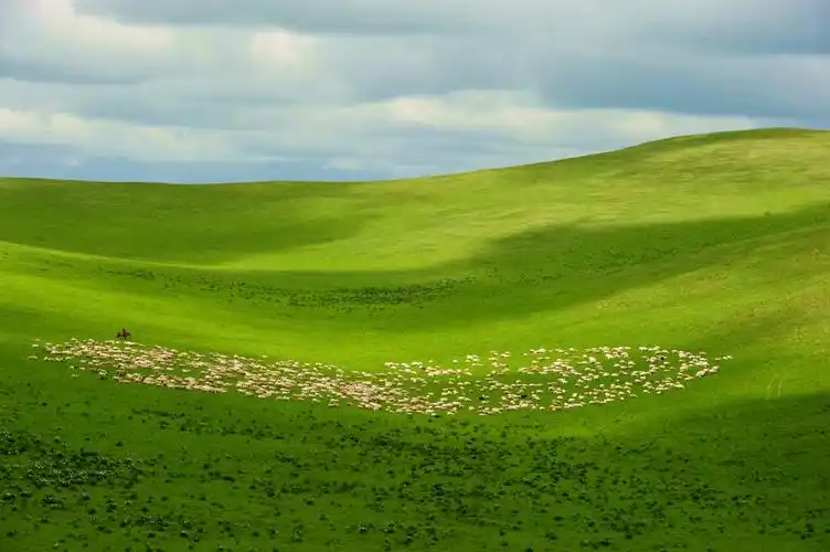 锡林郭勒让全面建成小康社会的绿色底色更加亮丽