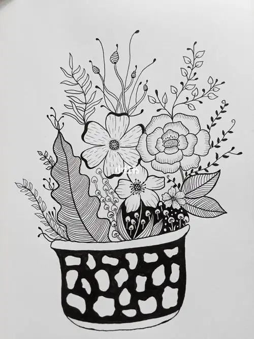手绘针管笔黑白创意花朵手账简笔画