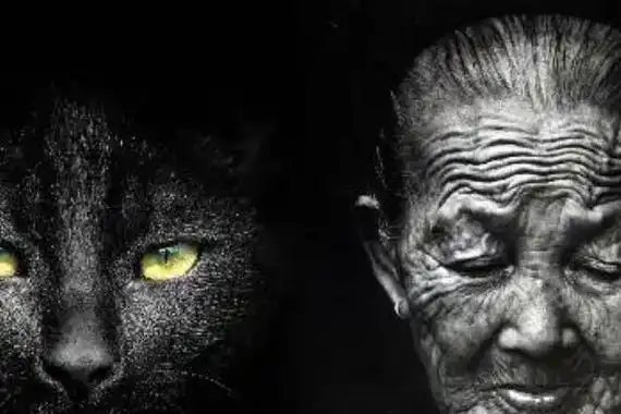 猫脸老太太吃小孩事件老太太猫气附体吃小孩据说有两个版本