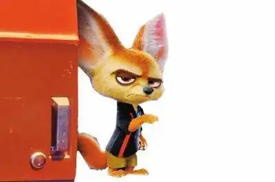 芬尼克兄弟们来了6只耳廓狐做客郑州动物园